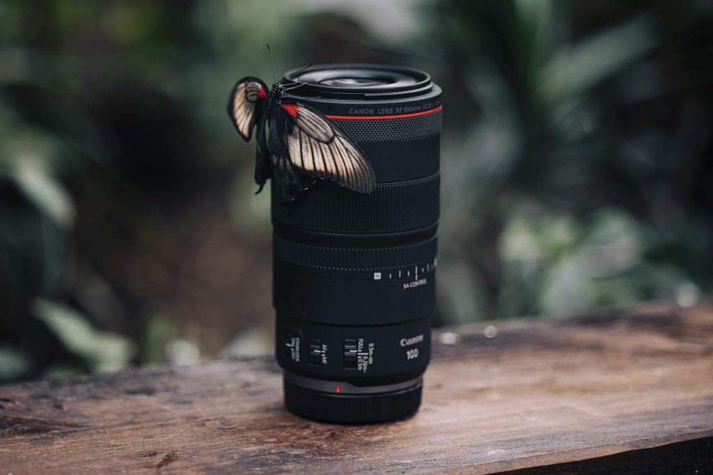 Canon RF 100 f/2,8 Macro
