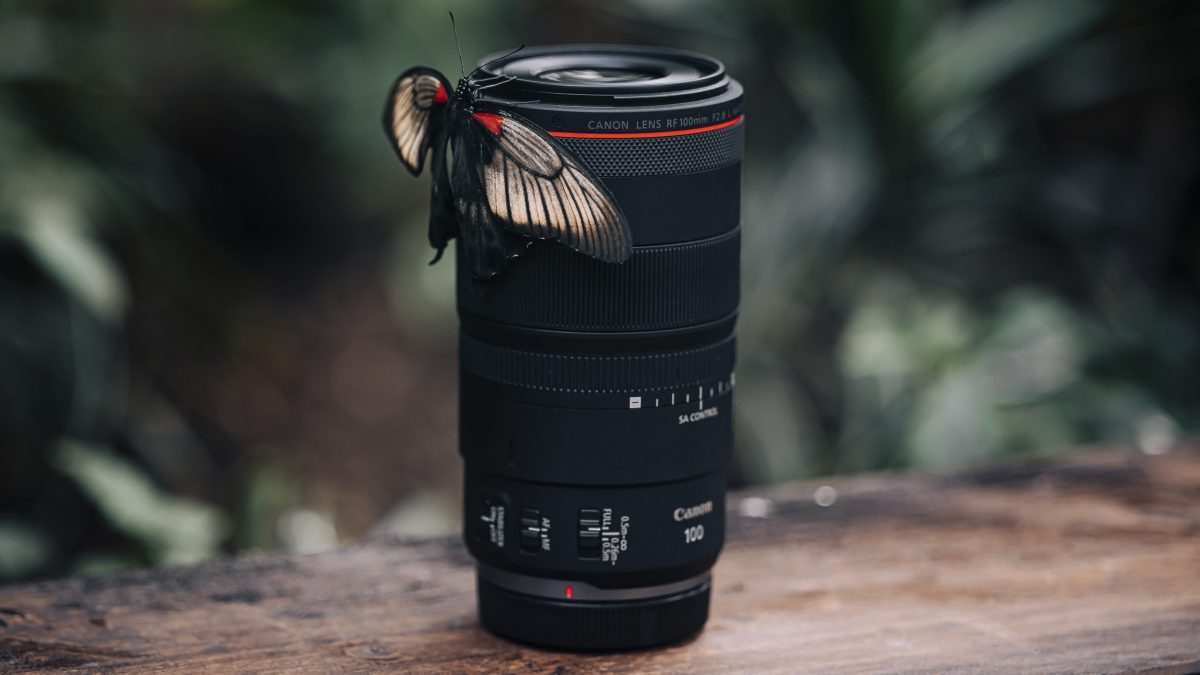 Canon – RF 100mm F2,8 L MACRO IS USM, le premier objectif macro AF