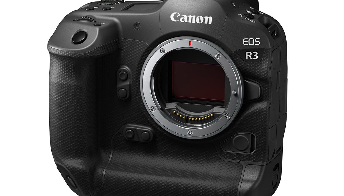 Une photo des JO confirme que le Canon EOS R3 dispose d’un capteur de 24MP